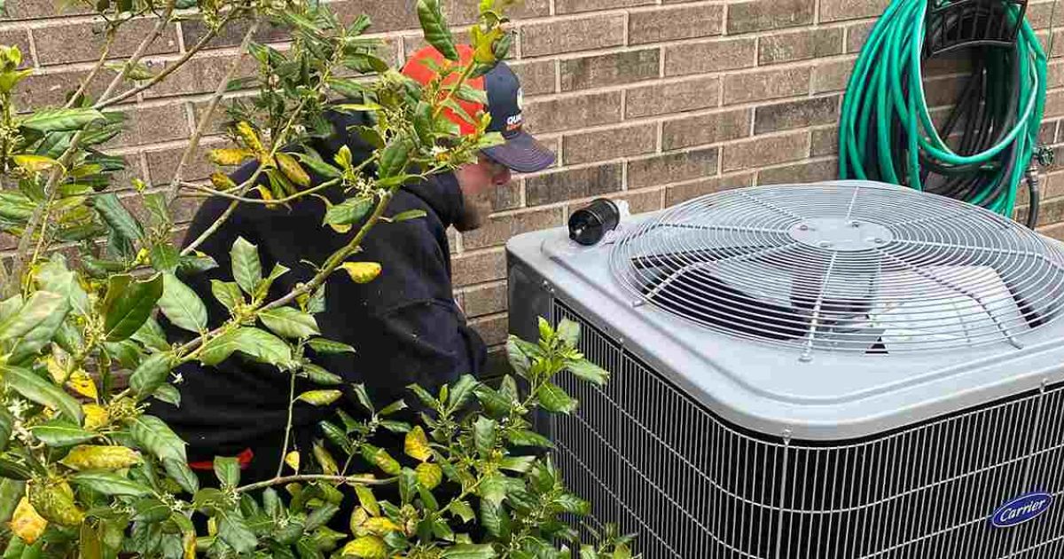 Putting Plants Around Your AC Unit: Do’s and Don’ts